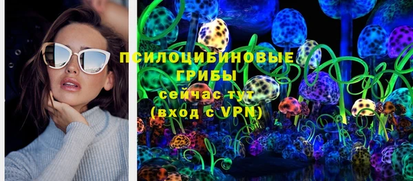 герыч Няндома