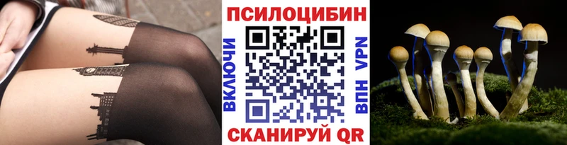 Купить закладки  Новоалтайск  Псилоцибиновые грибы Cubensis 